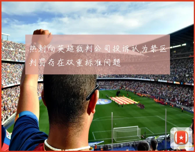热刺向英超裁判公司投诉认为禁区判罚存在双重标准问题