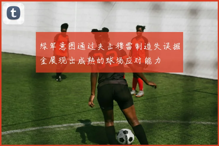 绿军意图通过夹击穆雷制造失误掘金展现出成熟的球场应对能力